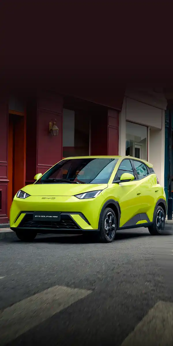 BYD DOLPHIN MINI
